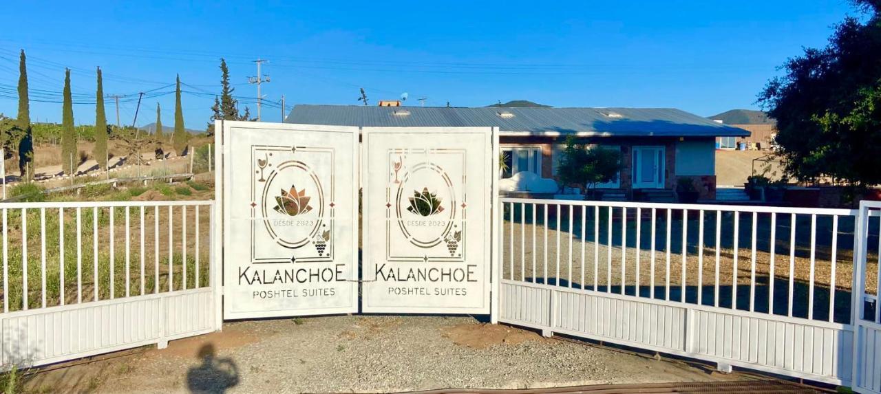 Kalanchoe Poshtel Suites Las Palmas  Екстериор снимка